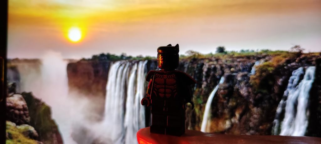 The king of Wakanda