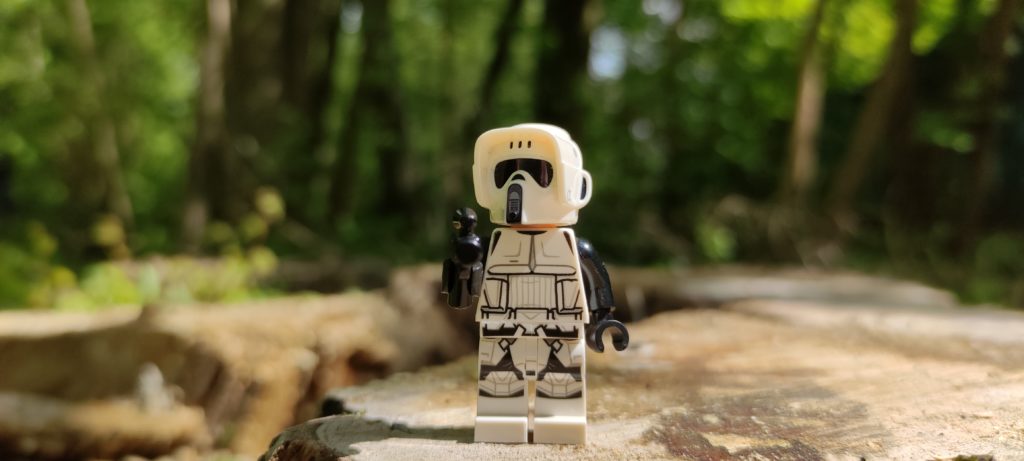 Lost on Endor