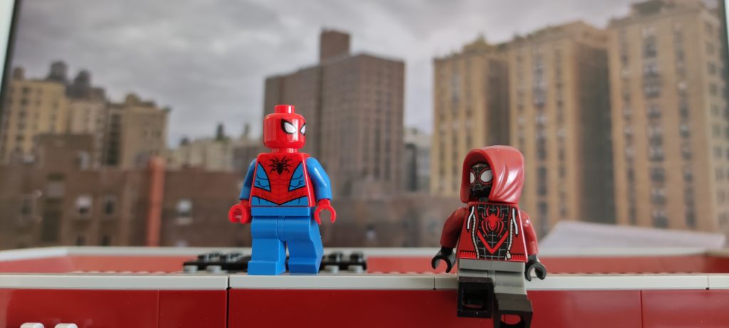 Spider-advice